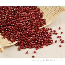 Red Bean For Weight Loss